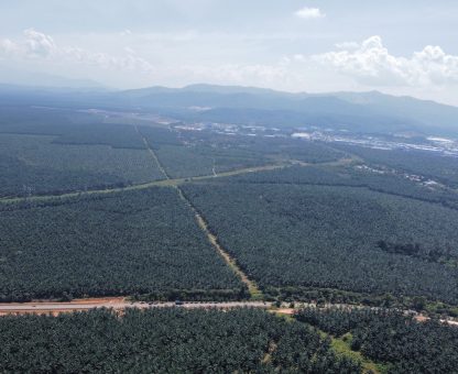 [FOR SALE] 36 Acres Industrial Land @ Kota Seri Langat, Banting, Telok Panglima Garang, Jenjarom